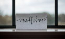 mind_250x150
